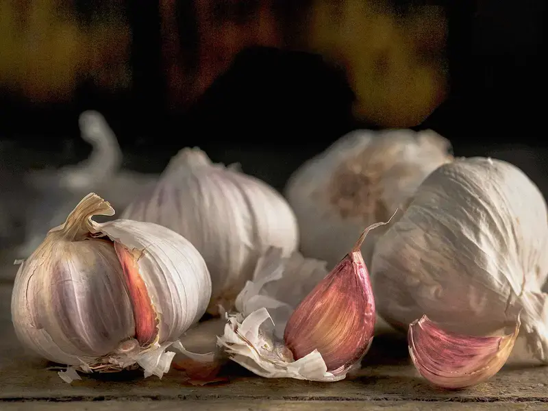Garlic