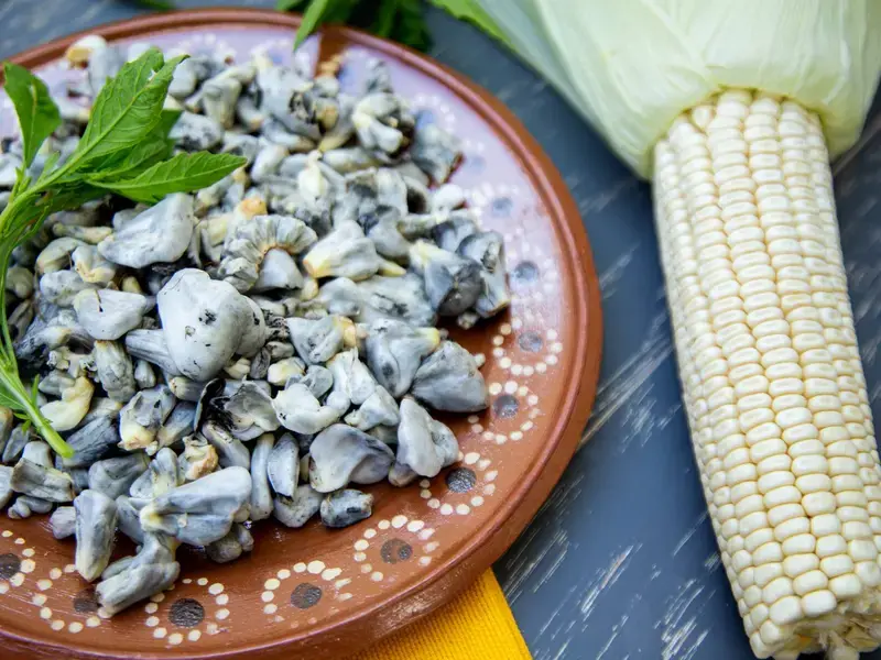 A plate of huitlacoche.