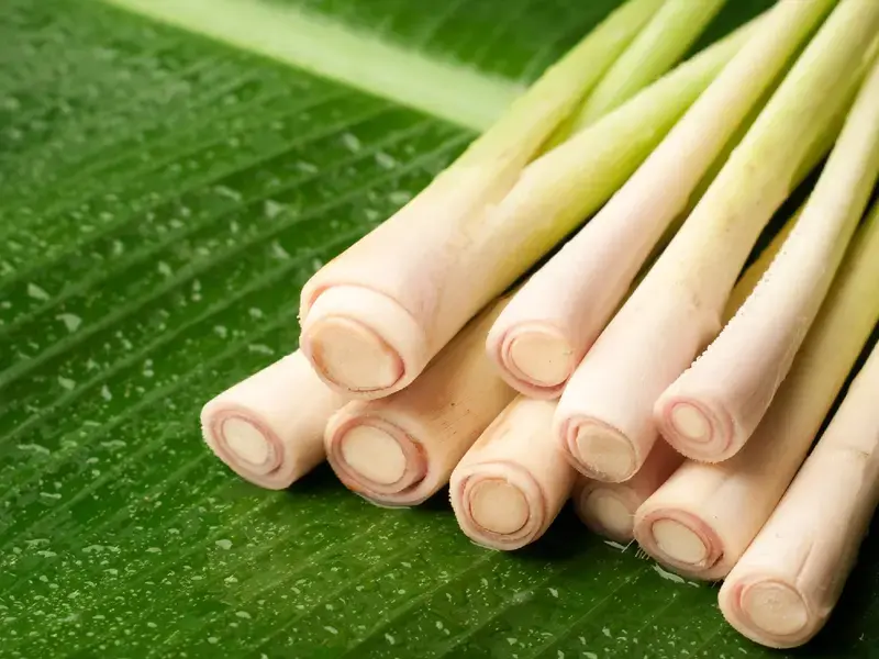 lemongrass ©iStock