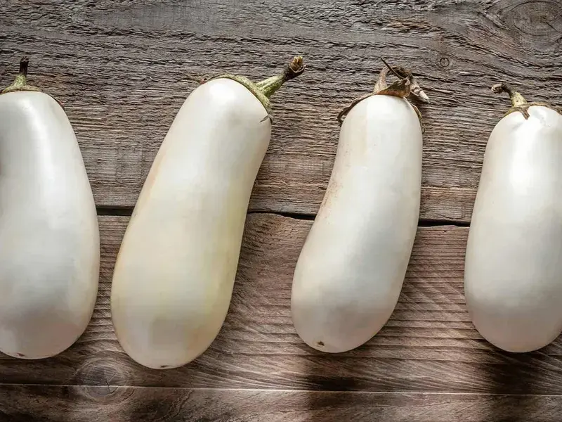 White eggplants