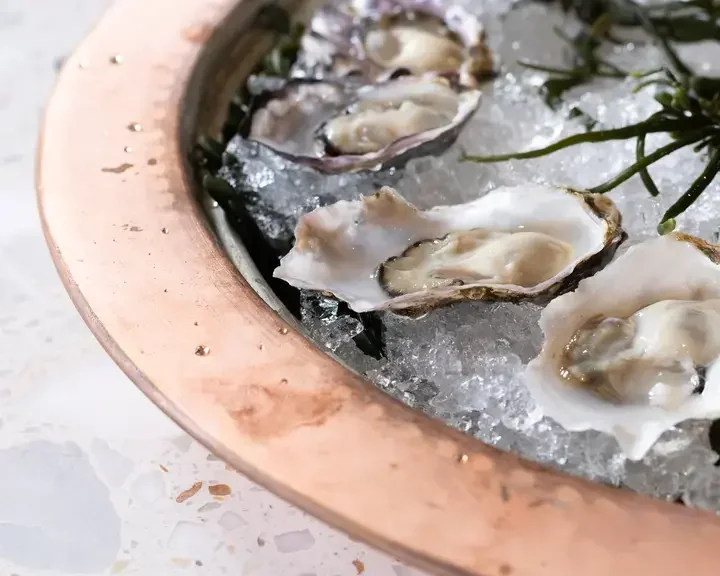 Dalida Oysters