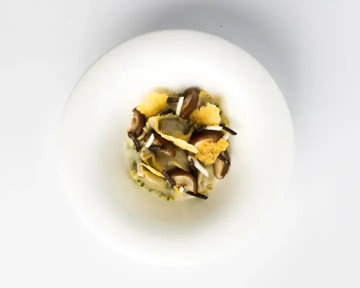Black Truffle Pillows