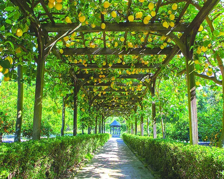 Garden to Glass at SBCE