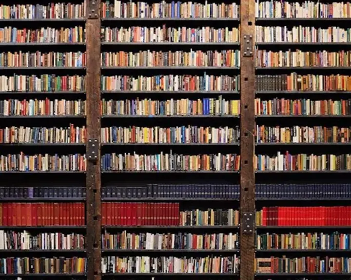 Stony Island Arts Bank