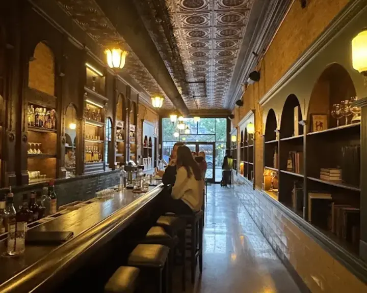 The Alley Cat Chicago