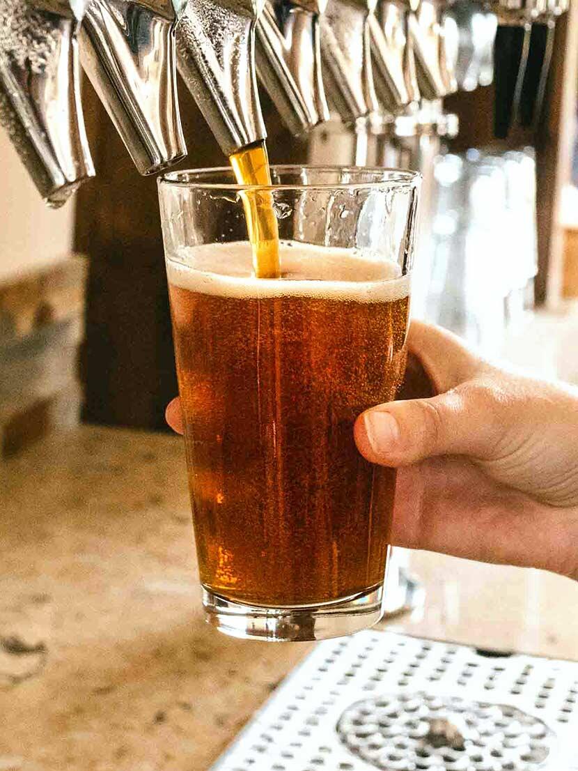 Beer Love Insights