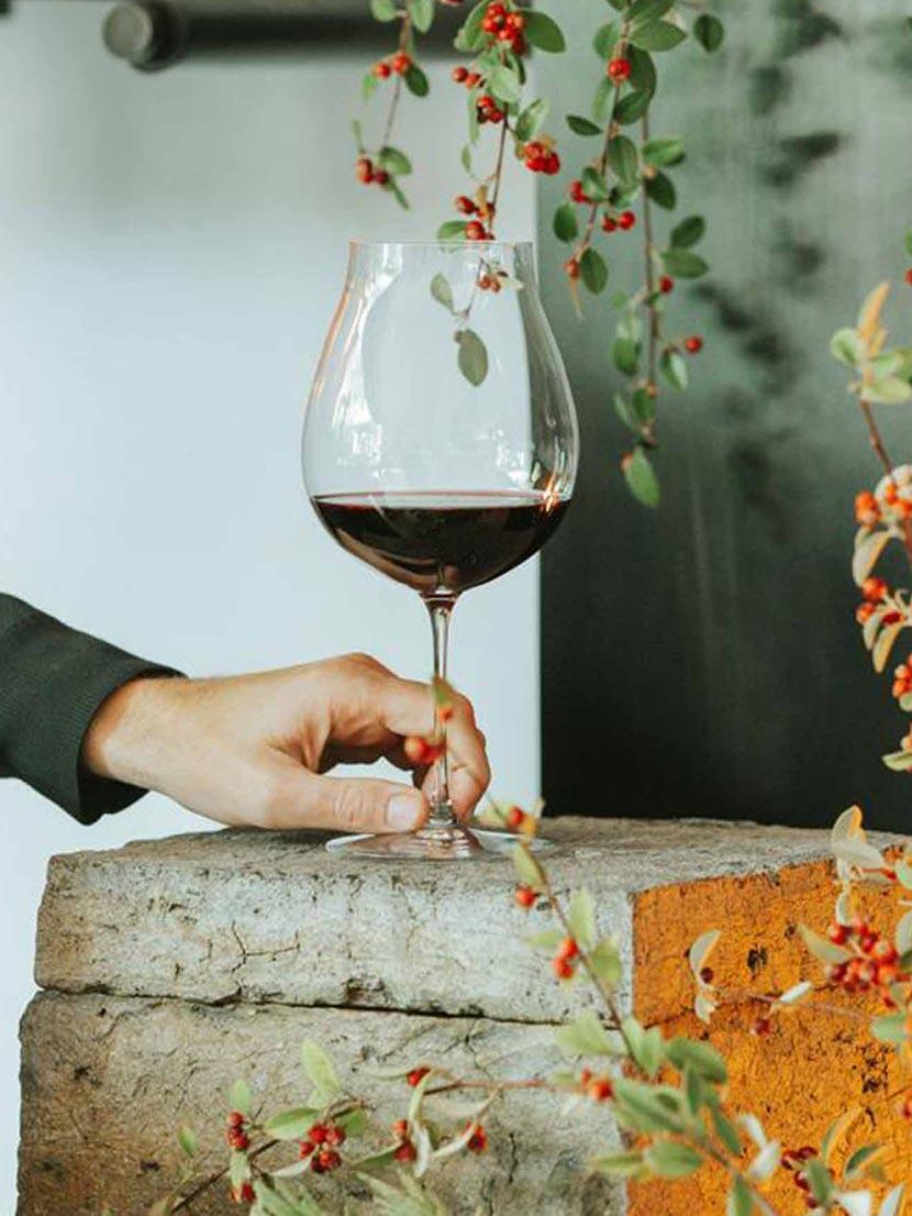 Wine