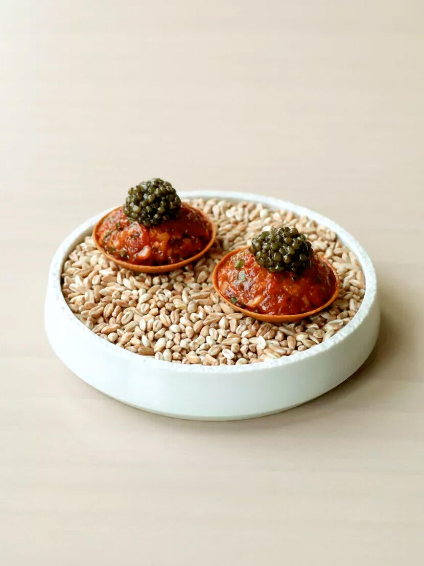 Culinary Voyager