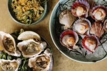 Oysters, Caesar Goes Vegan & Pink Scallops