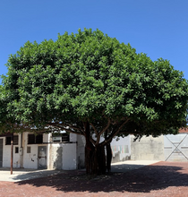 Sunny’s Steakhouse